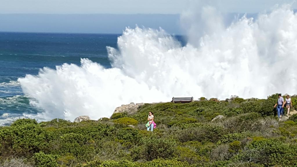 Auberge Provence Hermanus Eksteriør billede