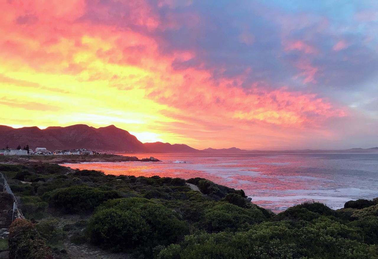 Auberge Provence Hermanus Eksteriør billede